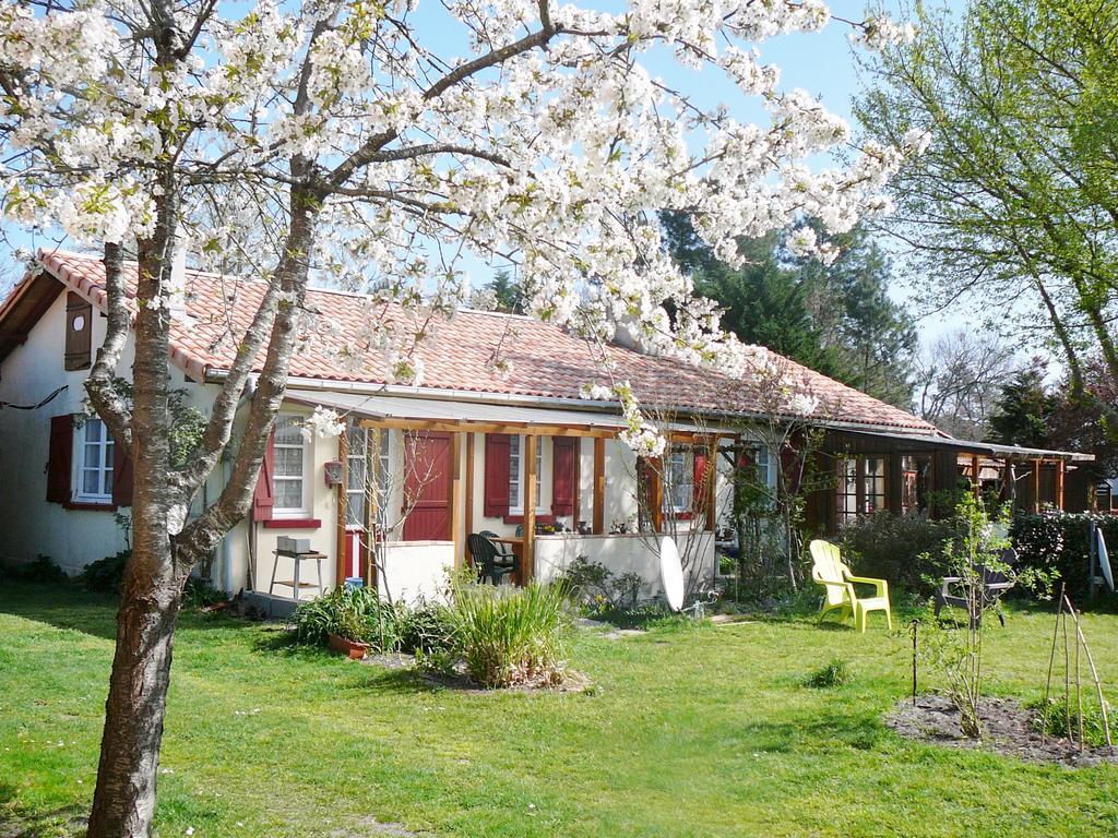 Guesthouse La Burle Parentis-en-Born Kamer foto