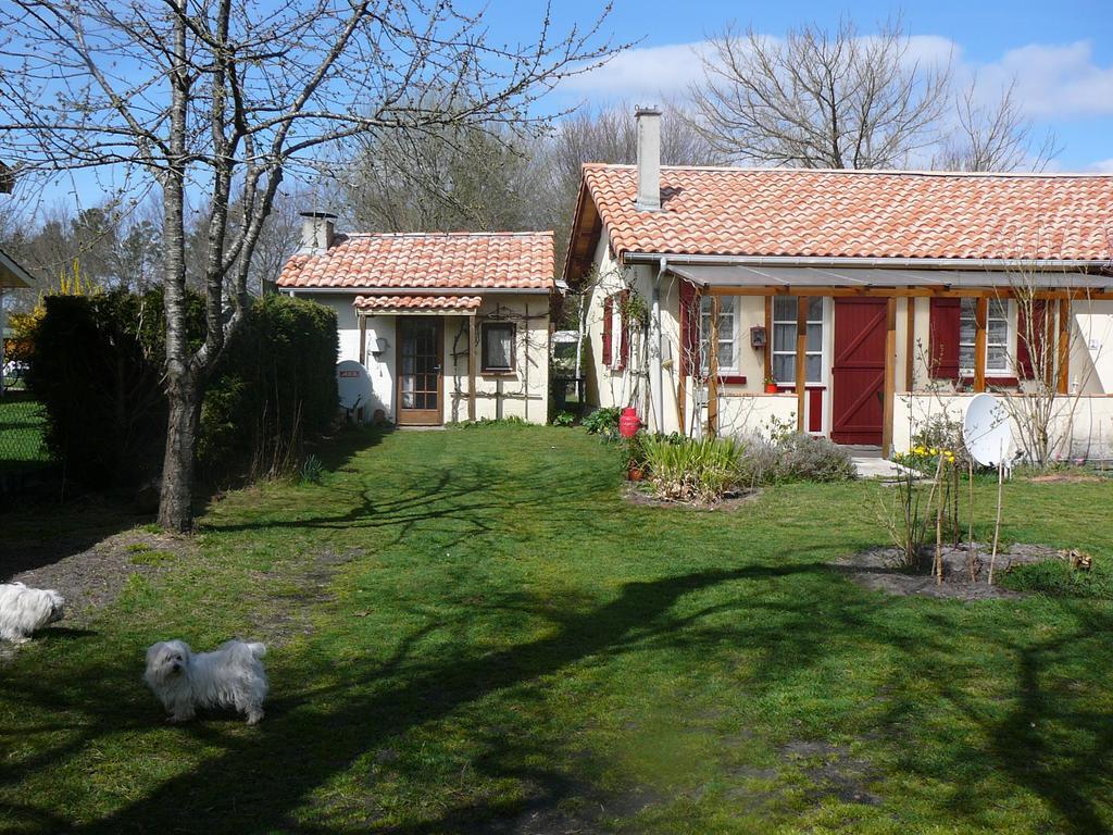 Guesthouse La Burle Parentis-en-Born Kamer foto