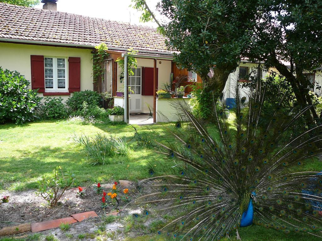 Guesthouse La Burle Parentis-en-Born Buitenkant foto